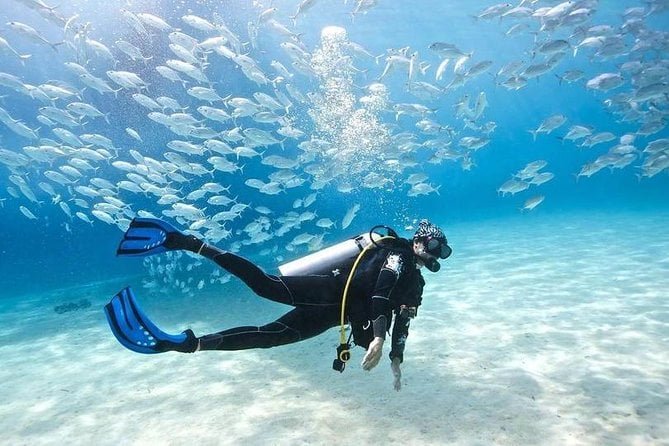 Tauchen in Hurghada