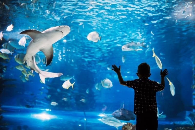 Grand Aquarium Hurghada