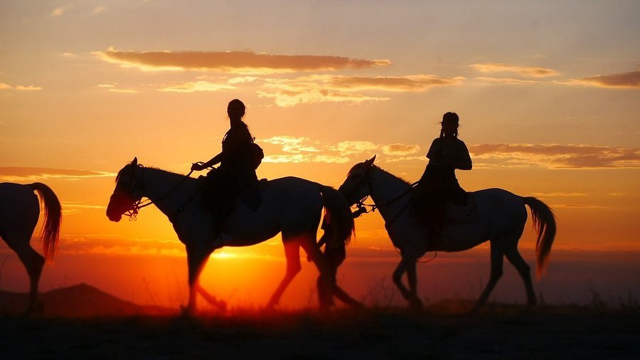 Reiten in Hurghada