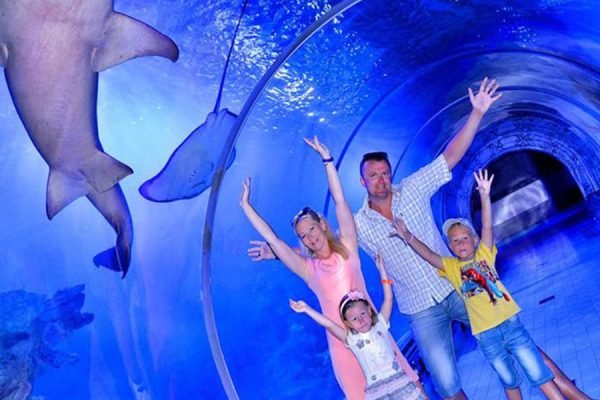 Hurghada Grand Aquariu - Egypt Tours Portal