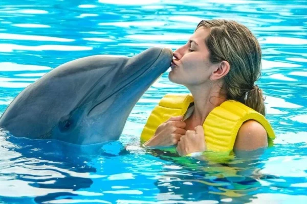 hurghada-1-hour-show-at-dolphin-world-with-optional-pickup